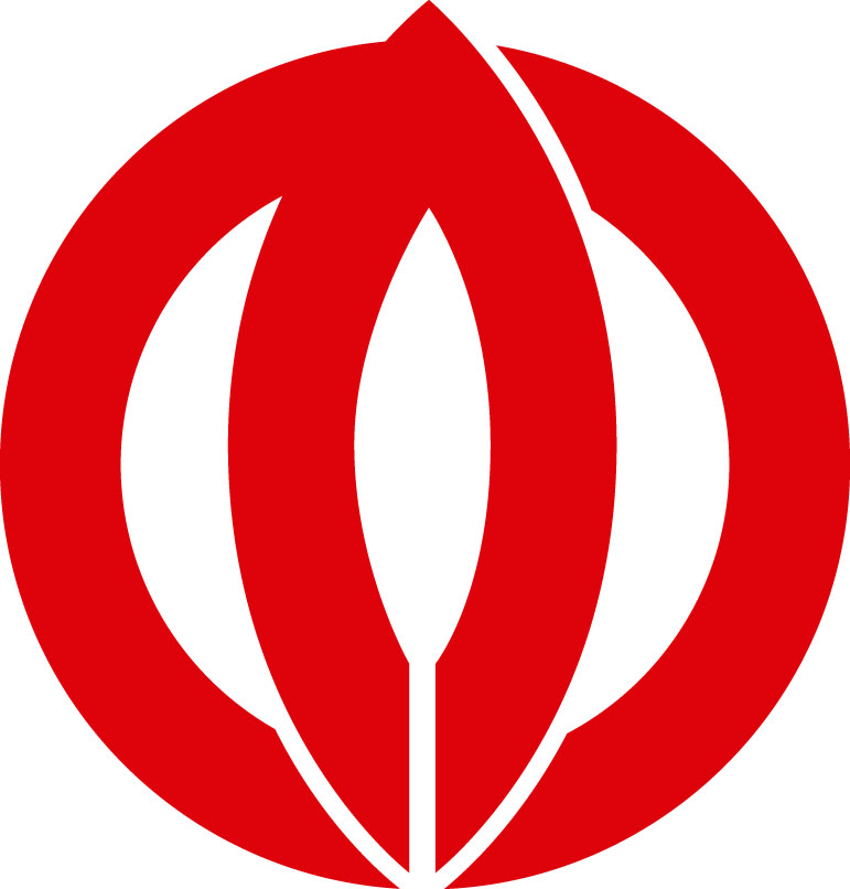住宅用太陽光発電・佐賀県鹿島市の補助金